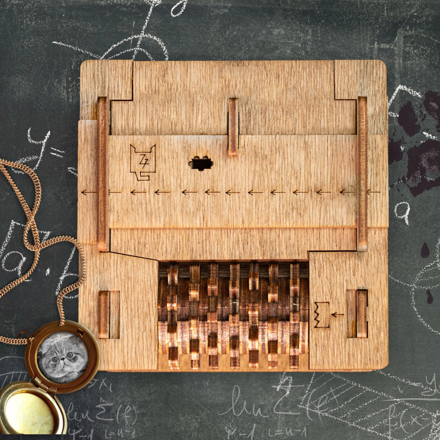 ZAGONETNA KUTIJA - ESCAPE ROOM IN A BOX SCHRODINGER'S CAT