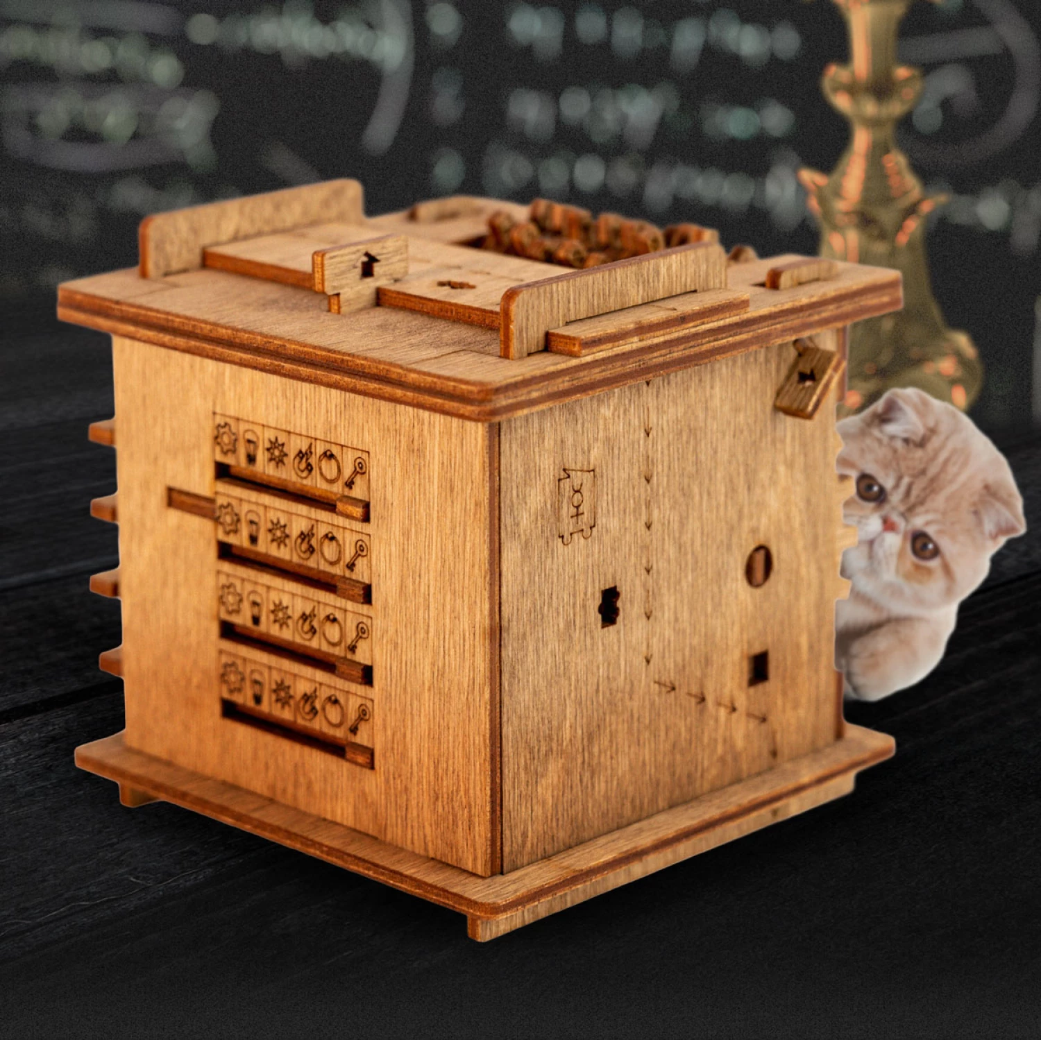 ZAGONETNA KUTIJA - ESCAPE ROOM IN A BOX SCHRODINGER'S CAT