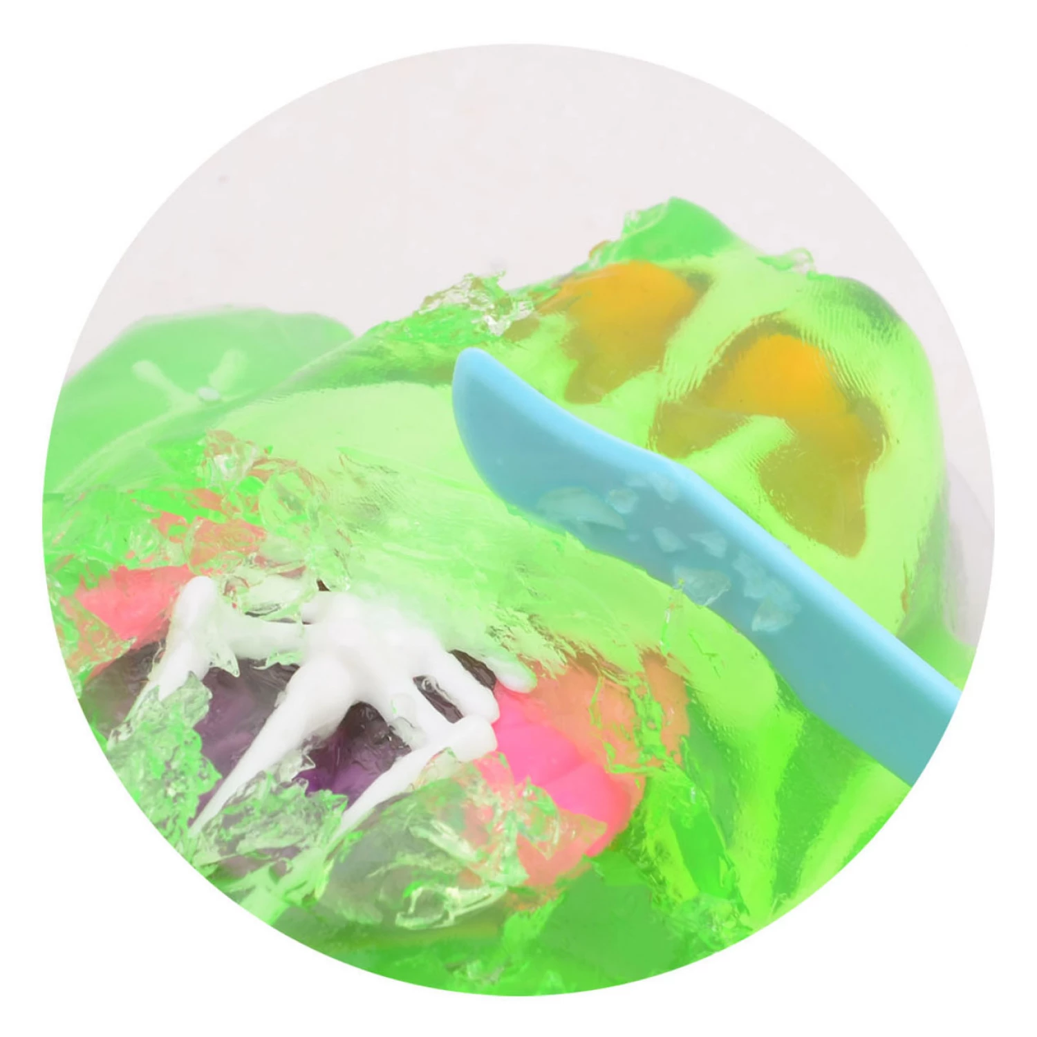 SCIENCE EXPLORER ANATOMIJA ZABA SLIME