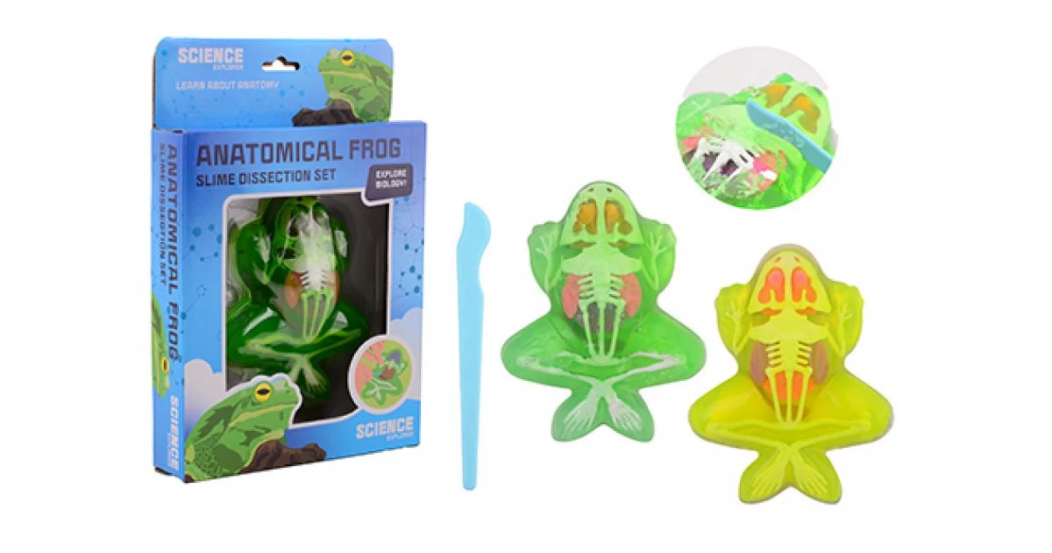 SCIENCE EXPLORER ANATOMIJA ZABA SLIME