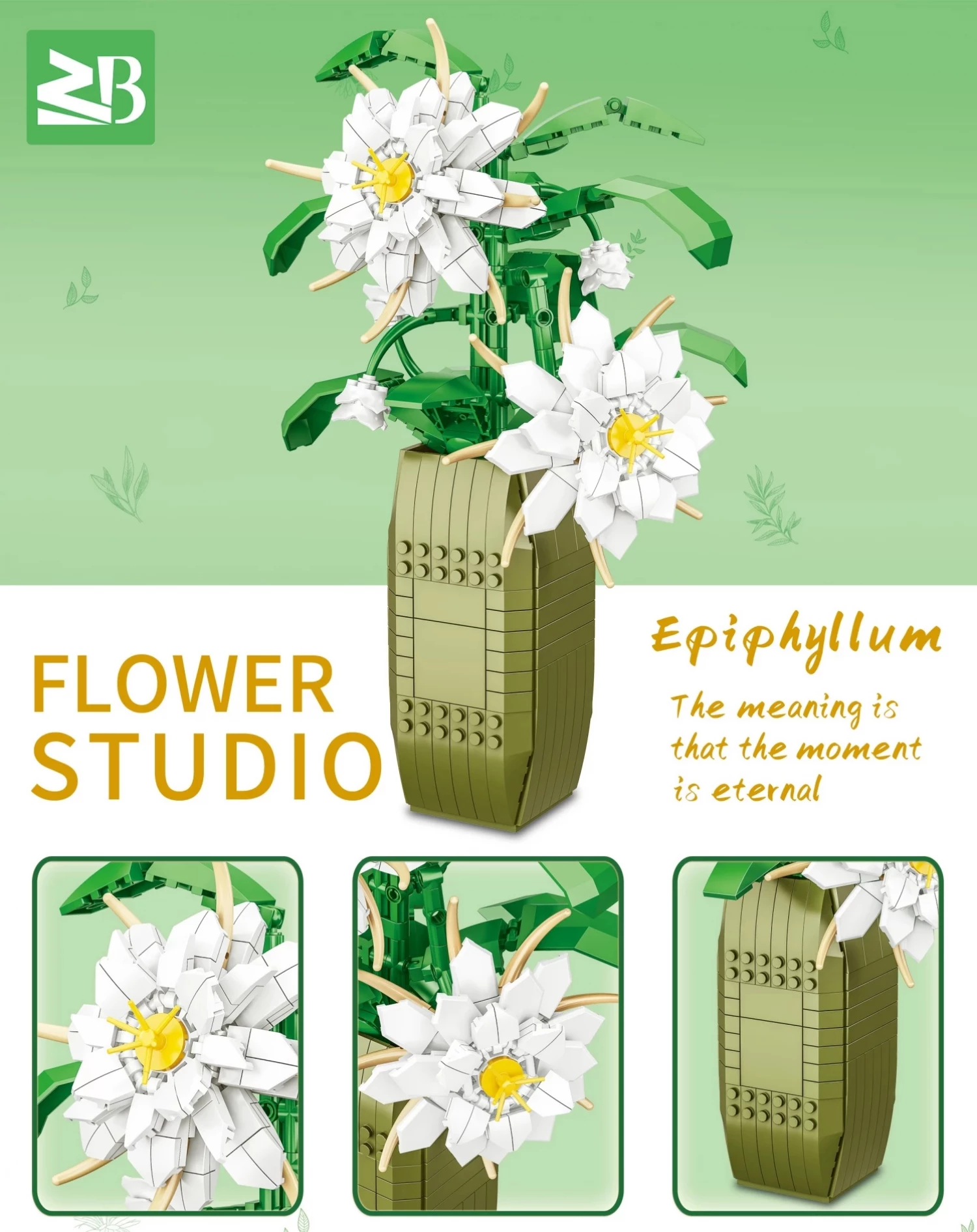 Ukrasna biljka Epiphyllum Grandiflorum kocke 548pcs 9104A