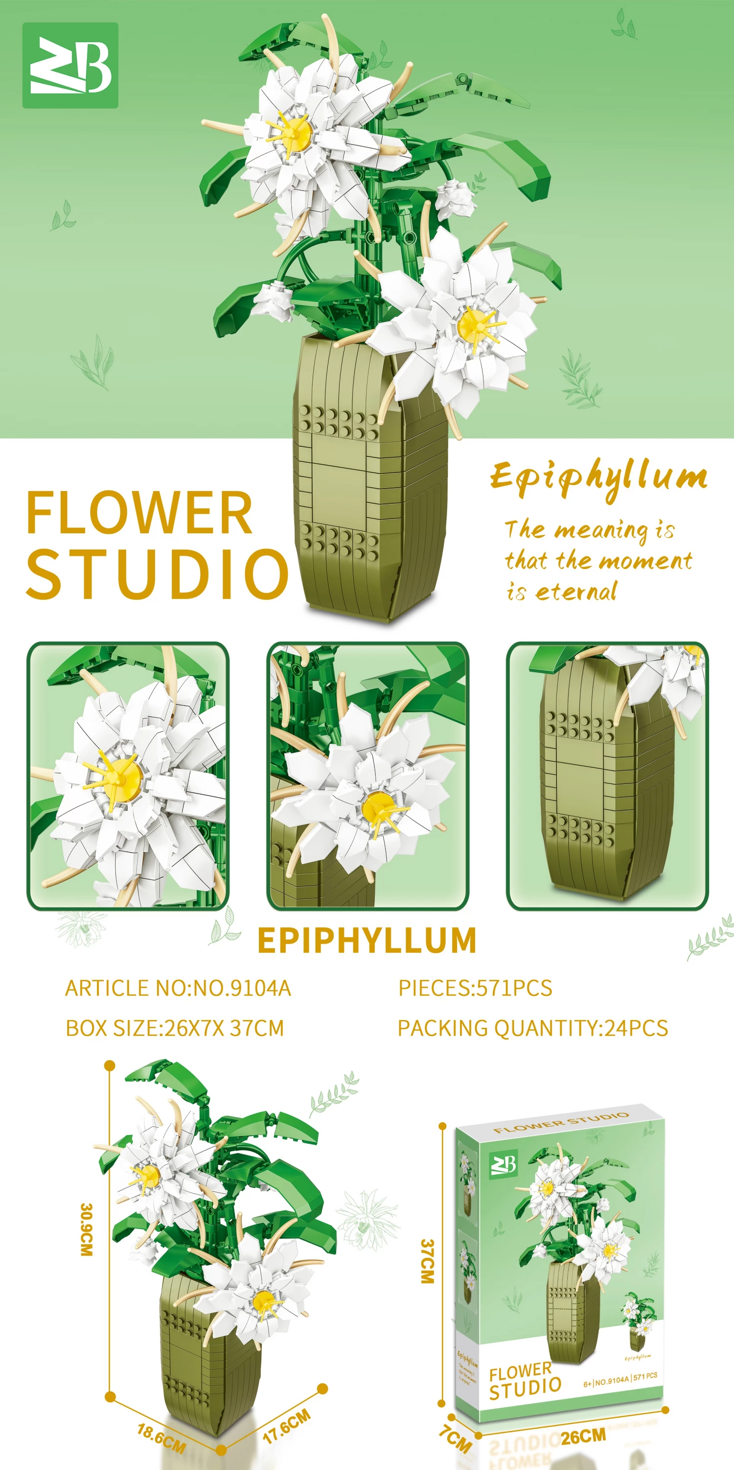 Ukrasna biljka Epiphyllum Grandiflorum kocke 548pcs 9104A