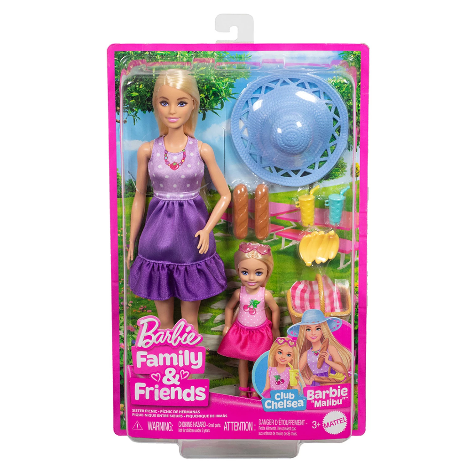Barbie lutka Family & Friends Piknik JBF43