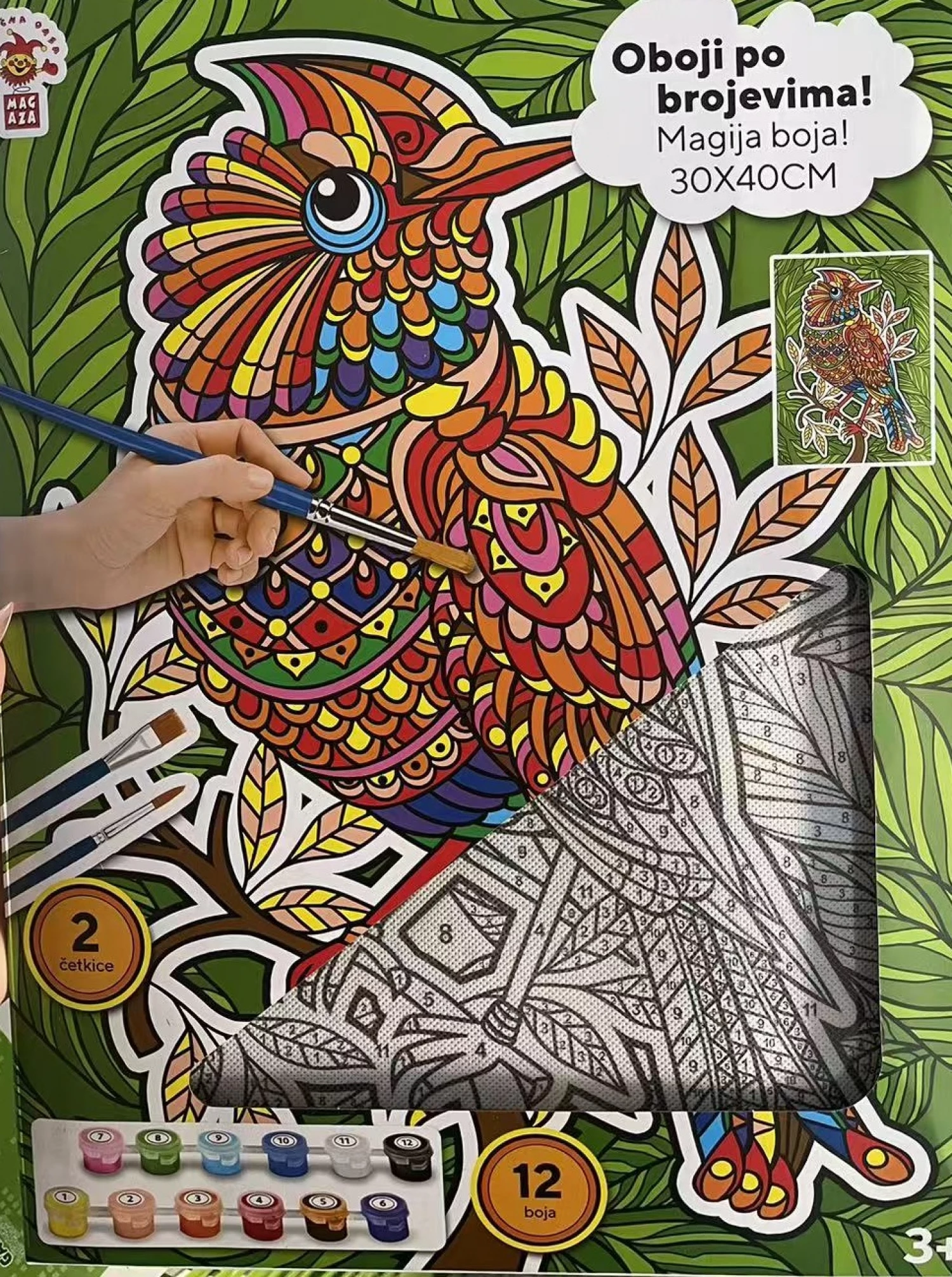 Paint by number Papagaj 2502