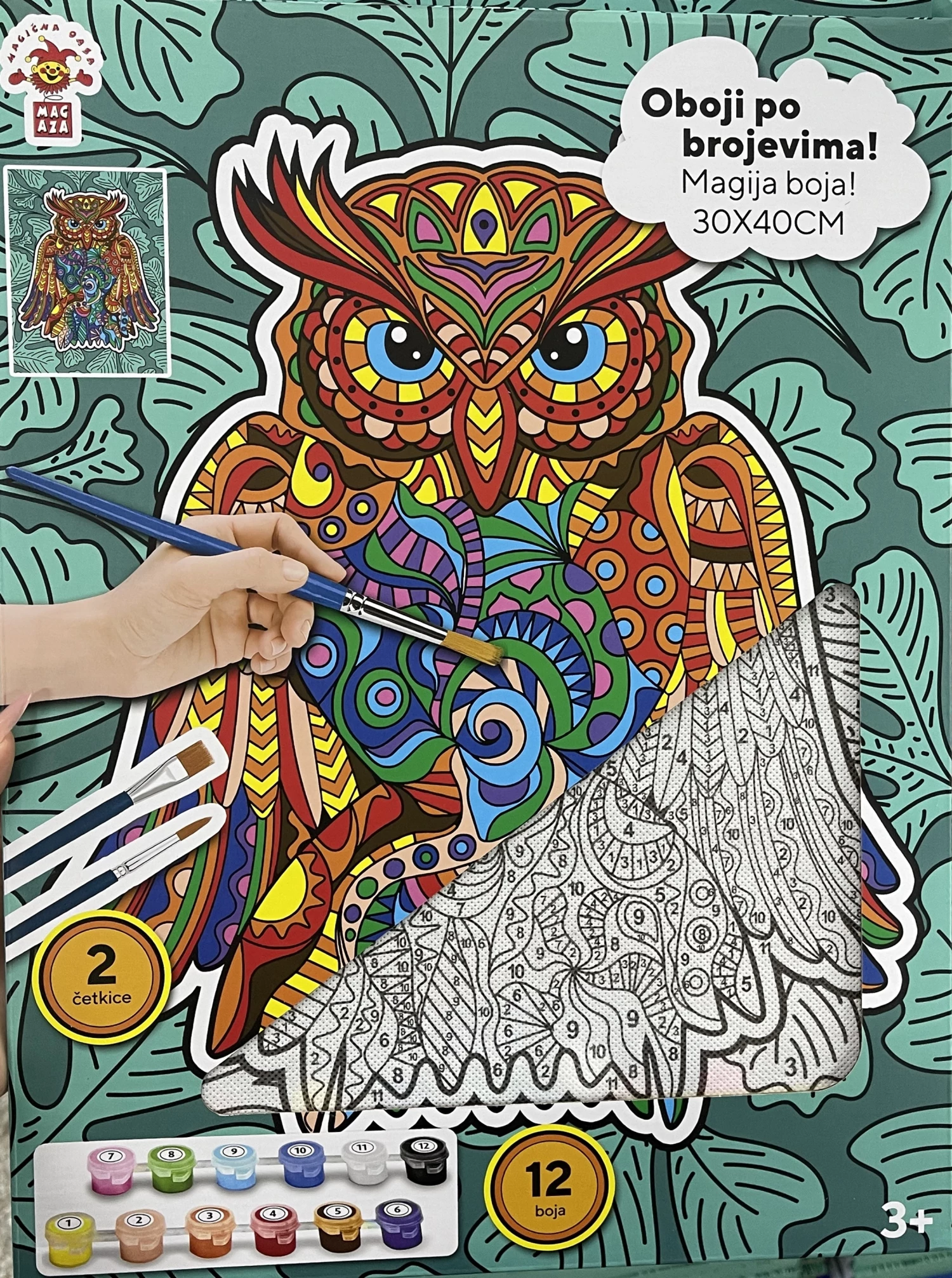 Paint by number Sova 2503