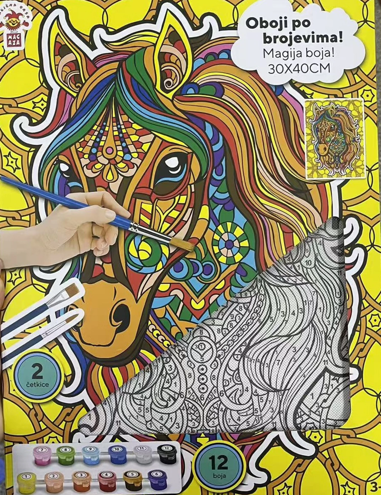 Paint by number Konj 2504