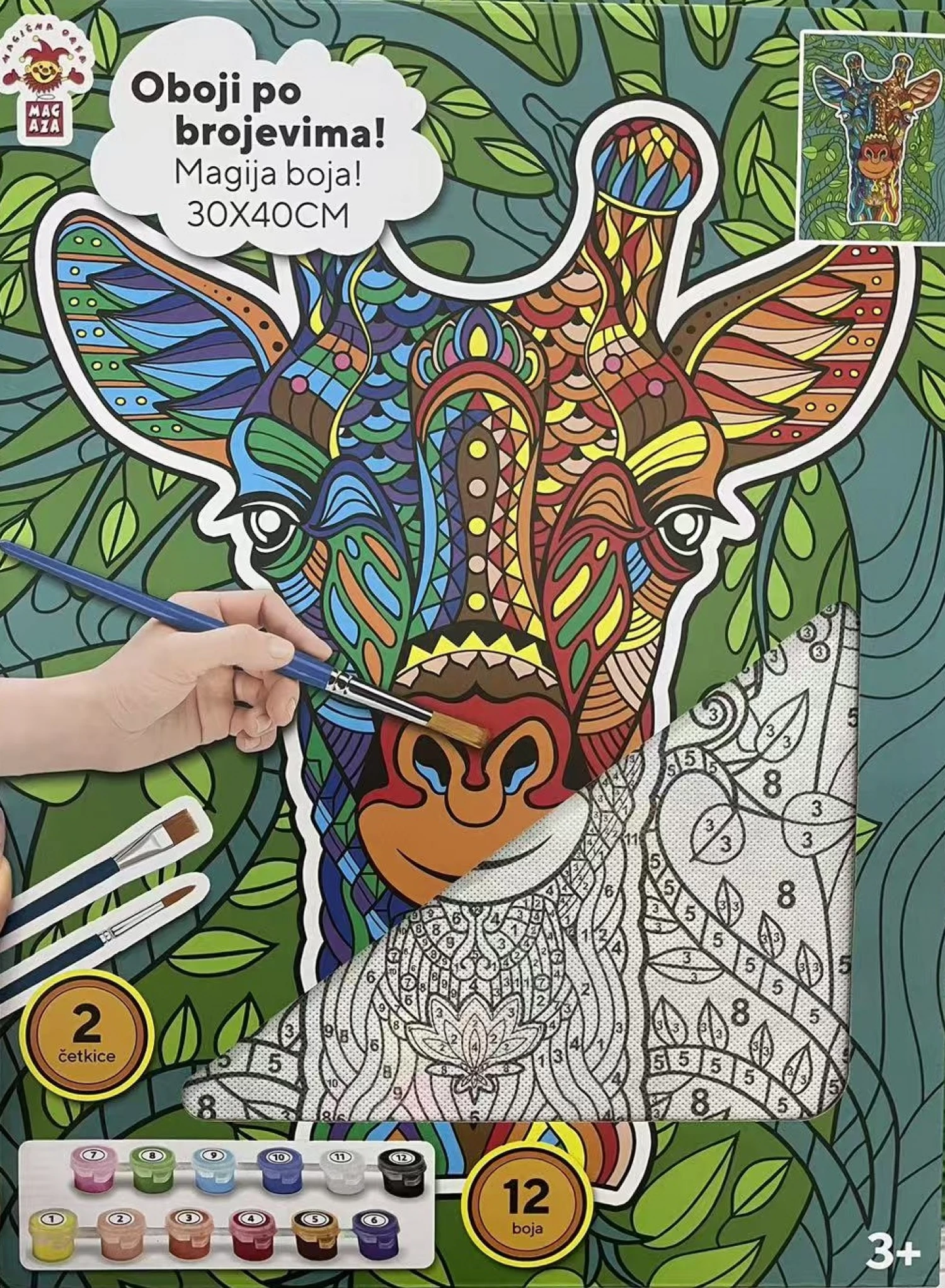 Paint by number Zirafa 2505