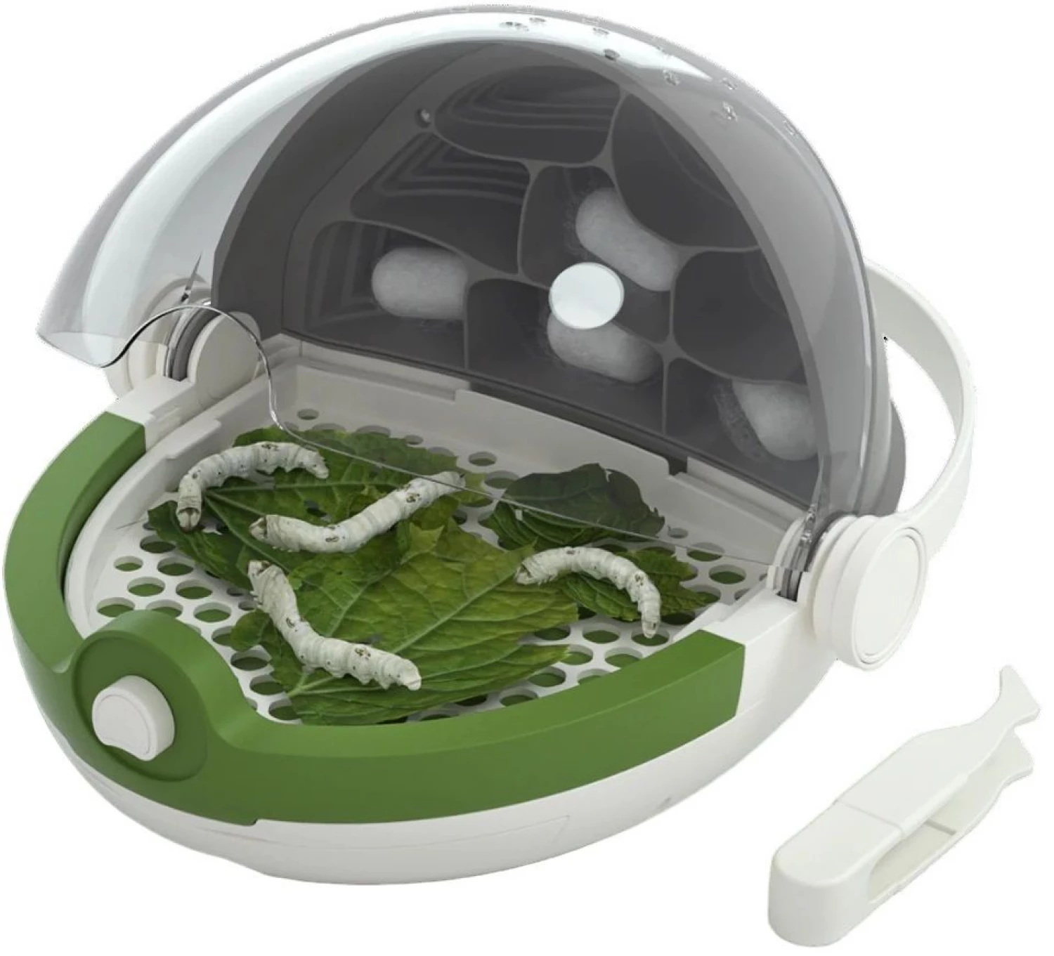 Edukativni set za proucavanje insekata 160009