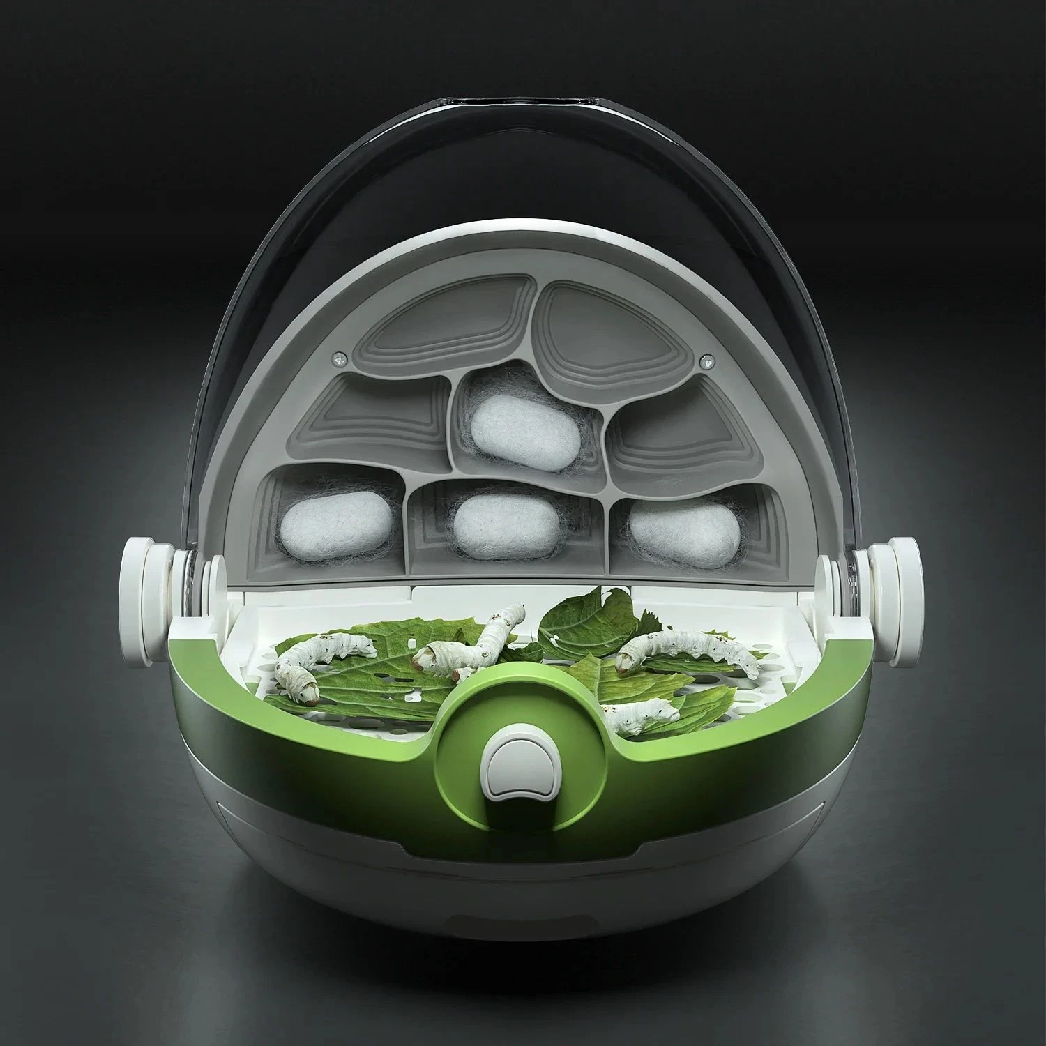 Edukativni set za proucavanje insekata 160009