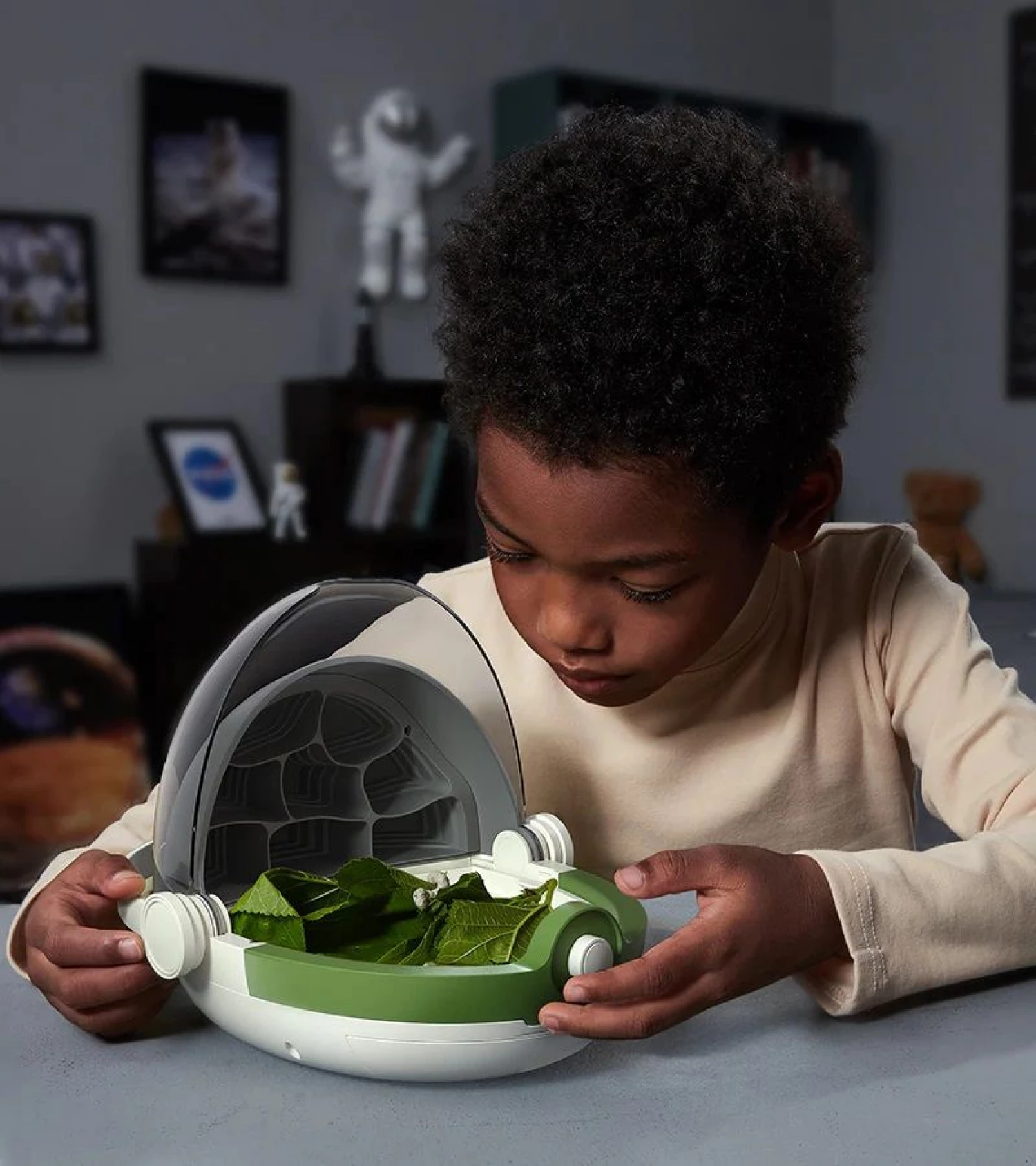 Edukativni set za proucavanje insekata 160009