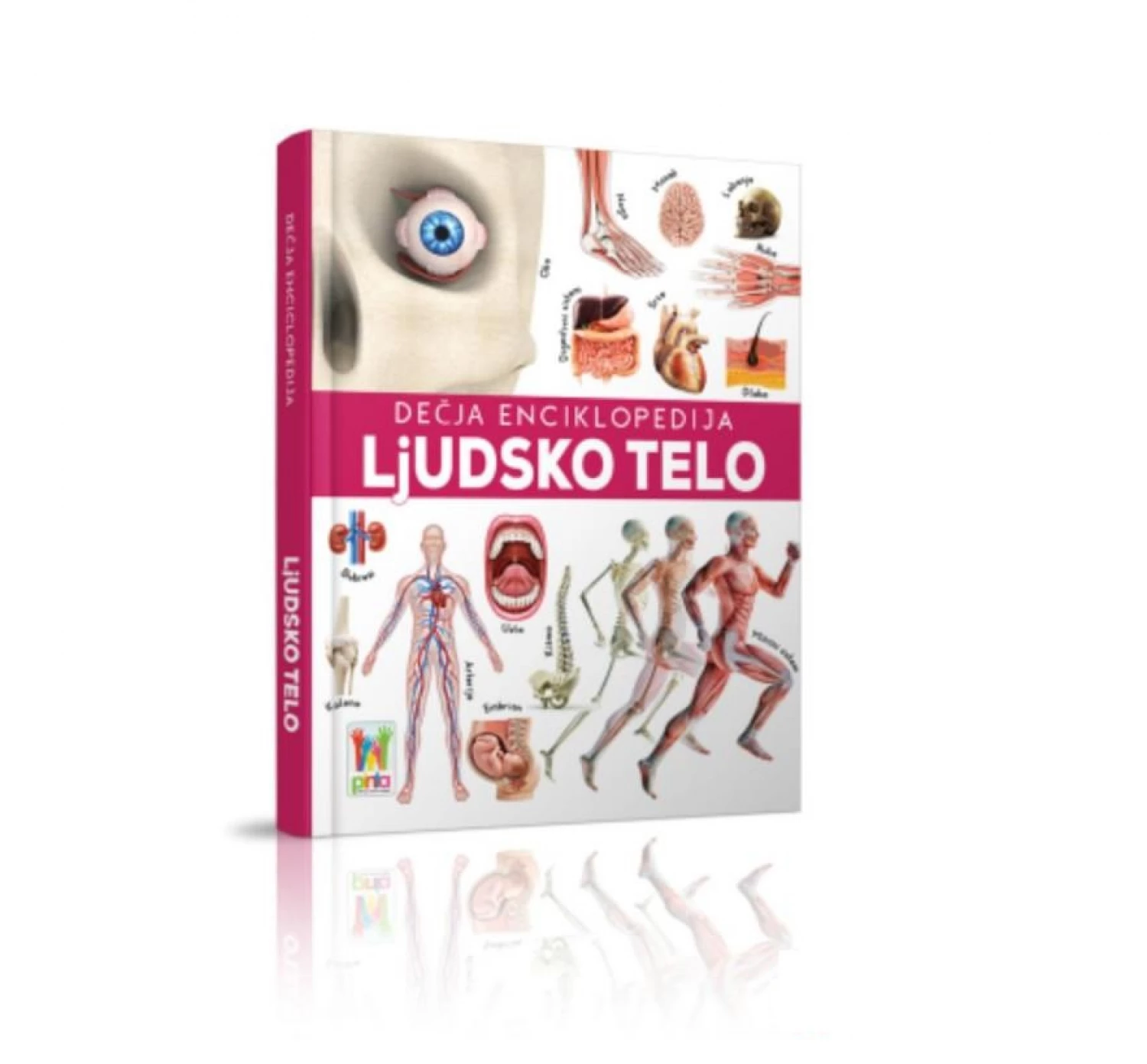 DECIJA ENCIKLOPEDIJA LJUDSKO TELO