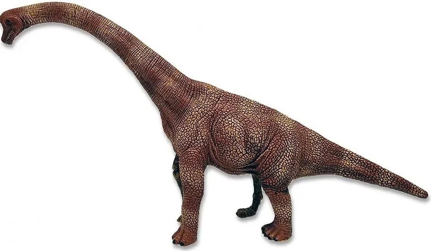 Dinosaur Amazing figura 3D Brahio 326-DF202