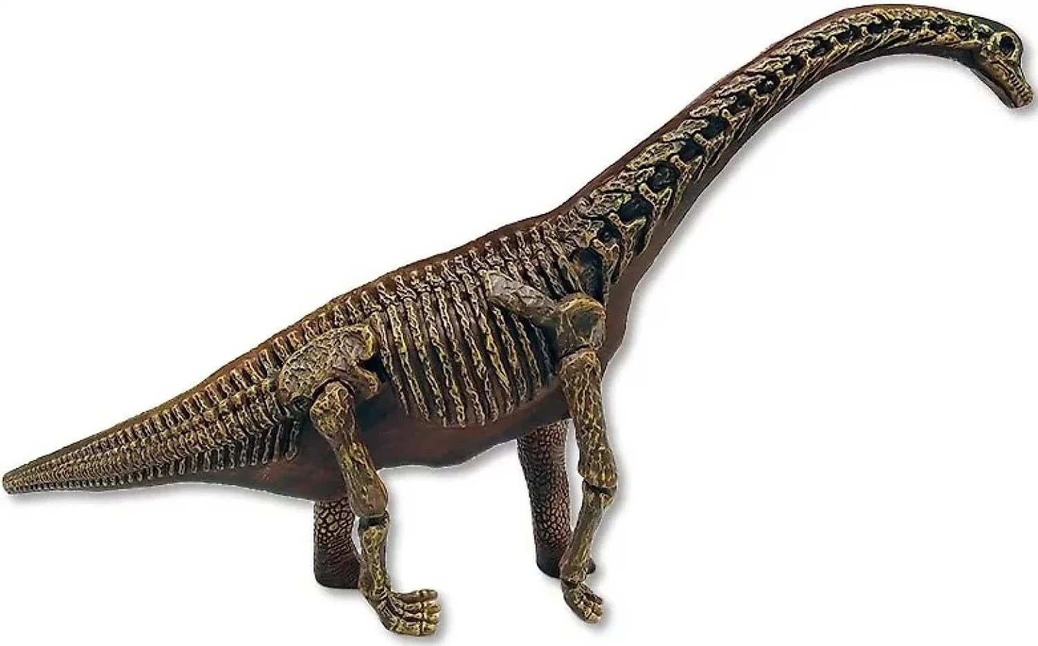 Dinosaur Amazing figura 3D Brahio 326-DF202